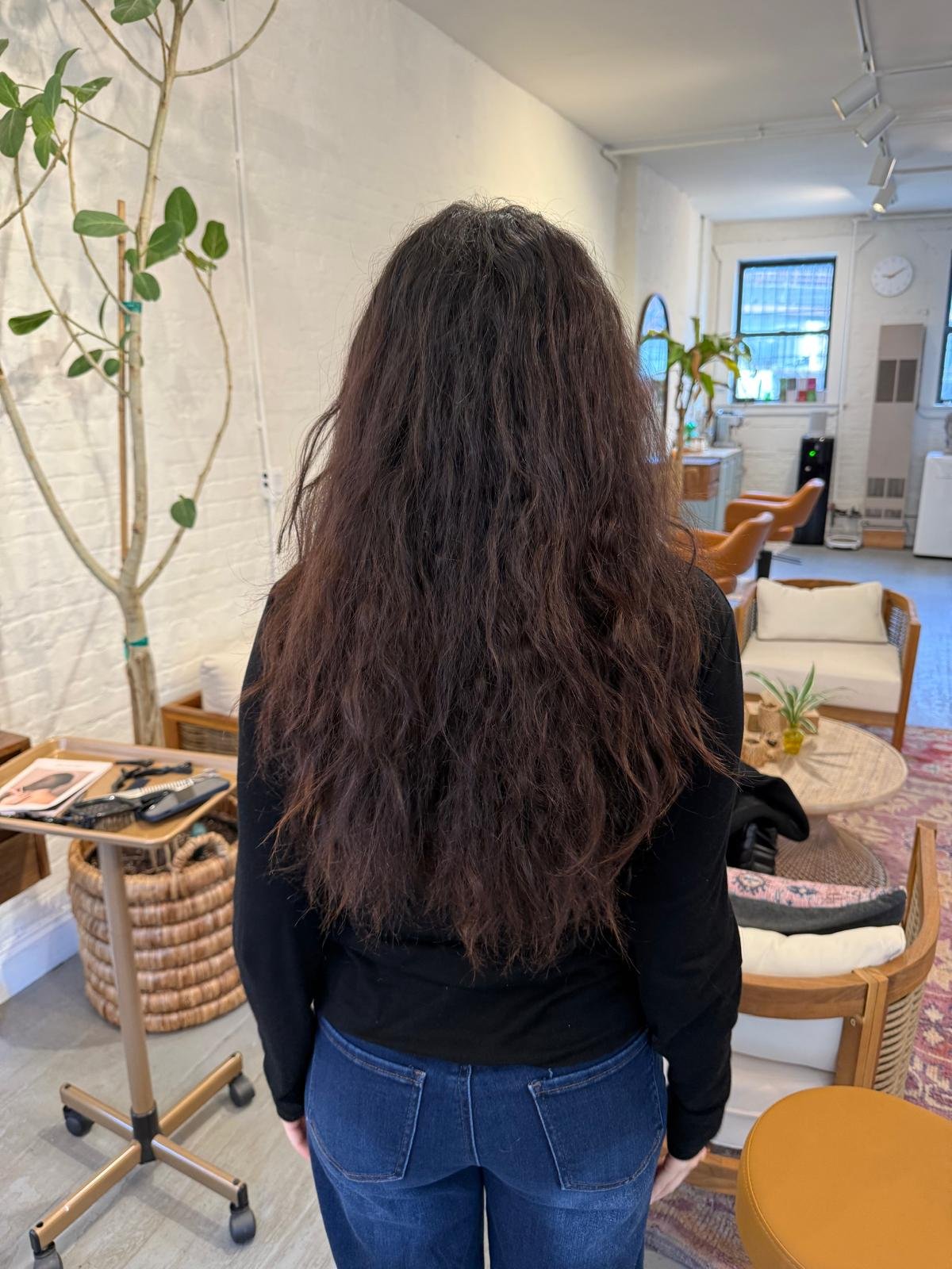 Before hair transformation at Williamsburg Blow Bar